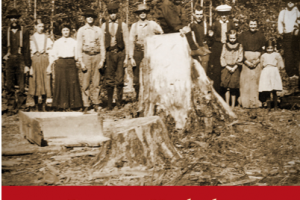 book cover of Creating Kashubia