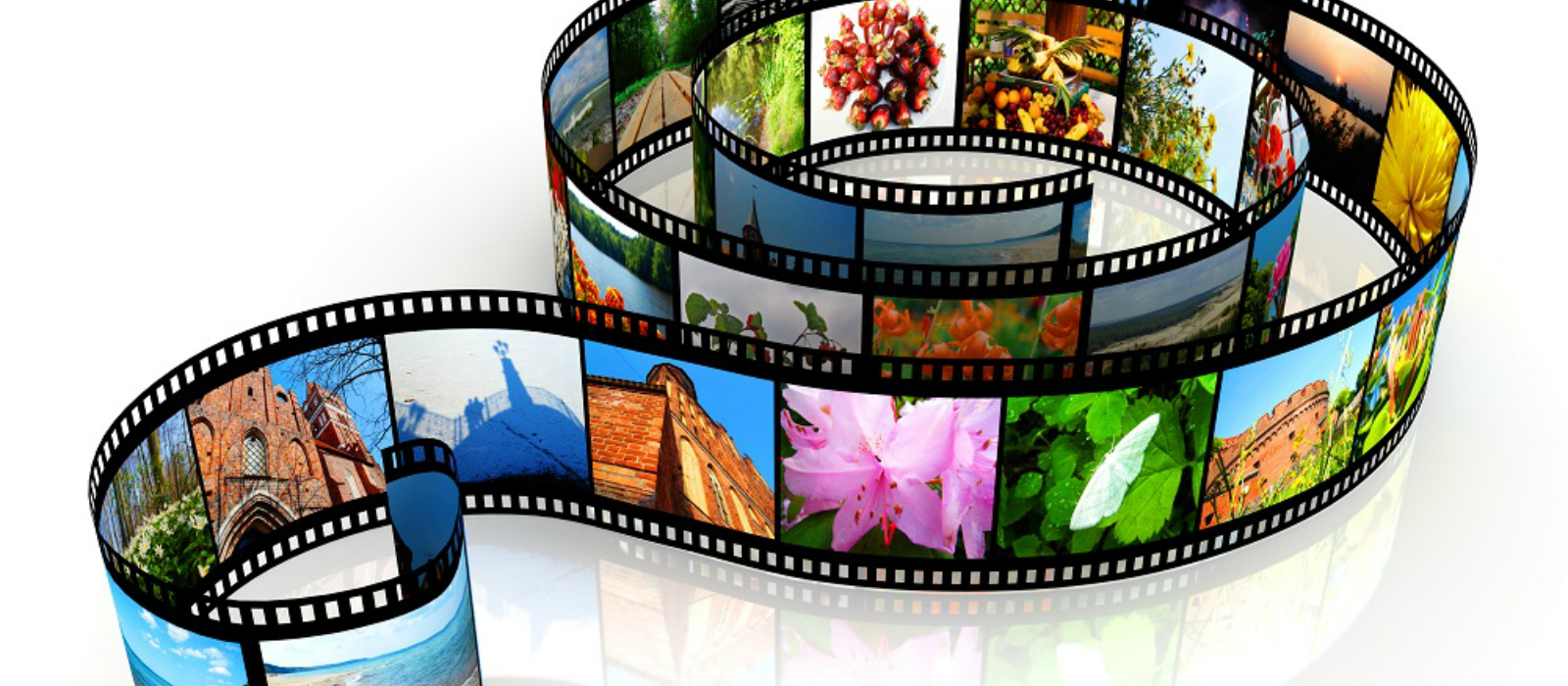 Banner image for Video Gallery