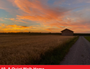 Sun setting on a field. House in the background