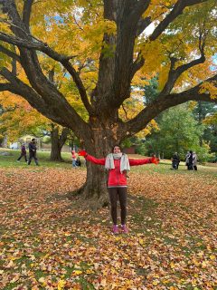 Student standing in front of a tree with many fallen yellow leaves during the fall