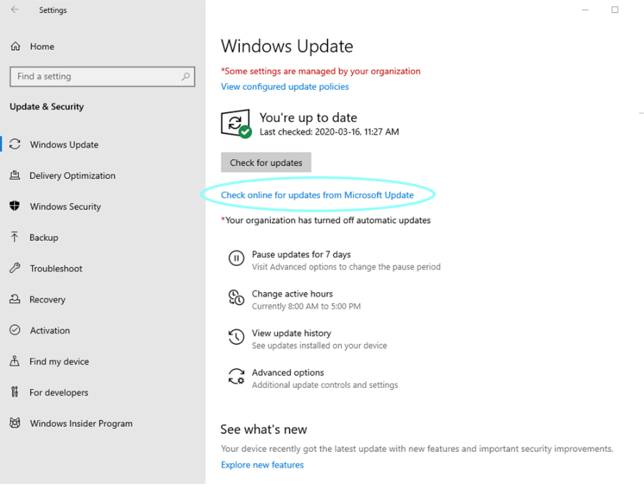 how to check for all updates on windows 10