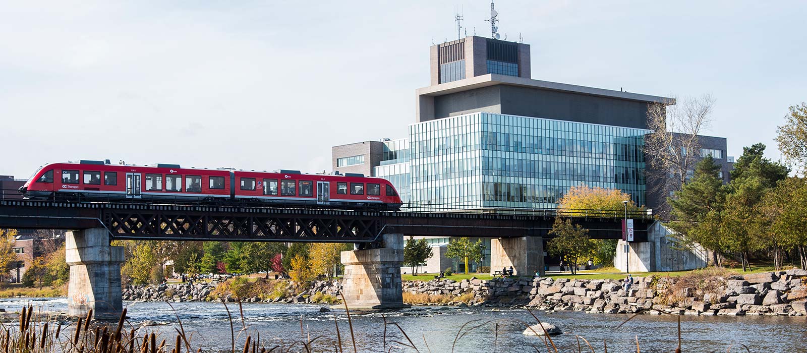 Banner image for Public Transit