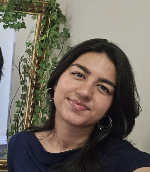 Areej Waseem