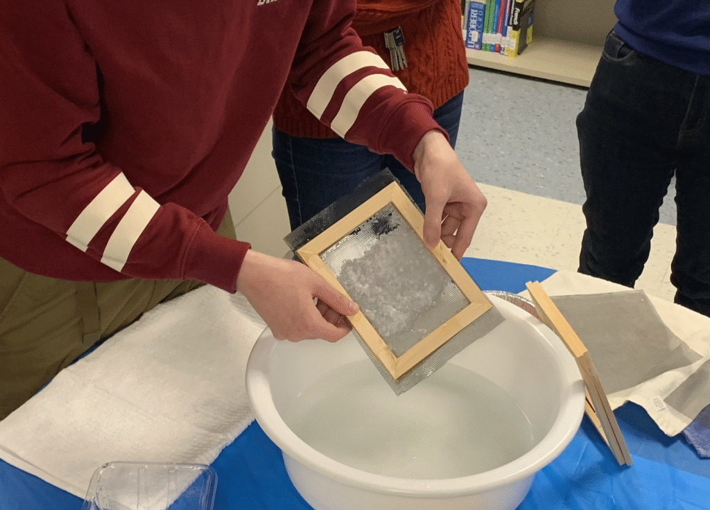 Student places soaked mulberry in screen.