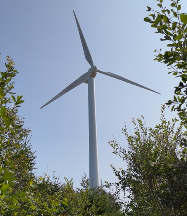 Improved_wind_image