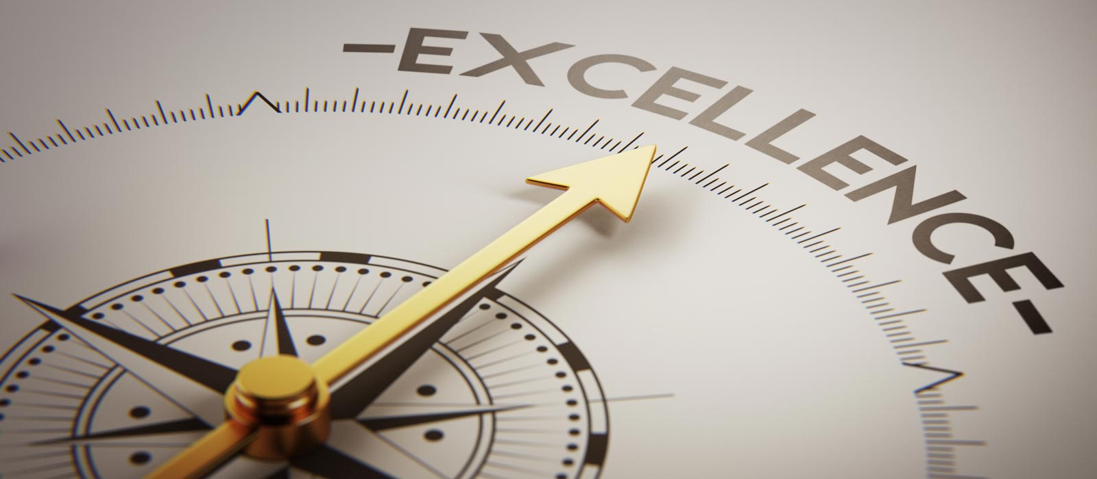 Banner image for Service Excellence