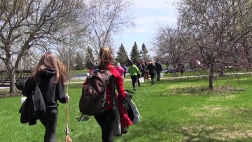 Thumbnail for: 2014 Nature’s Wonders 1920