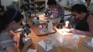 Thumbnail for: Nature’s Wonders