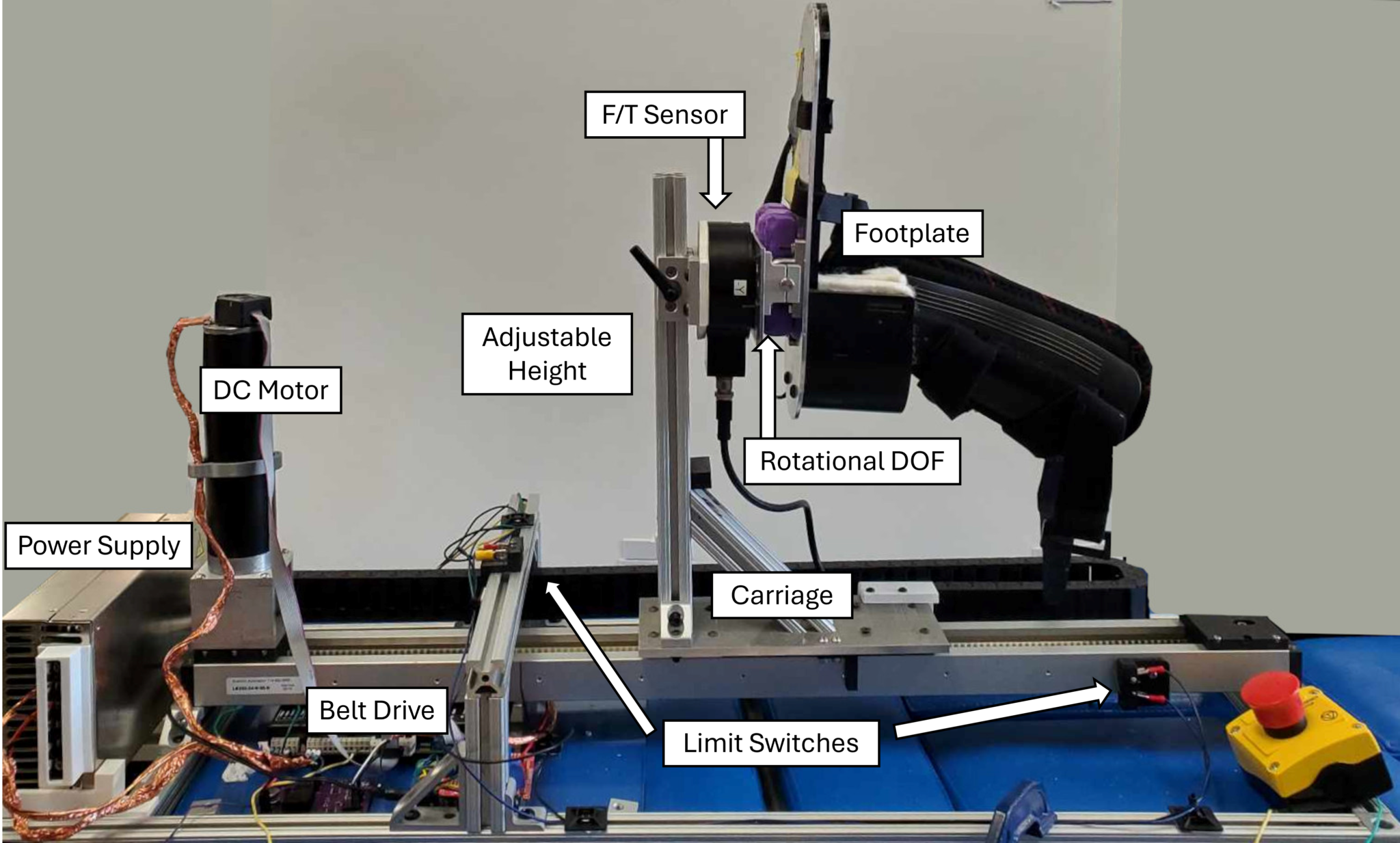 AI-enabled Rehabilitation and Assistive Devices - Advanced ...