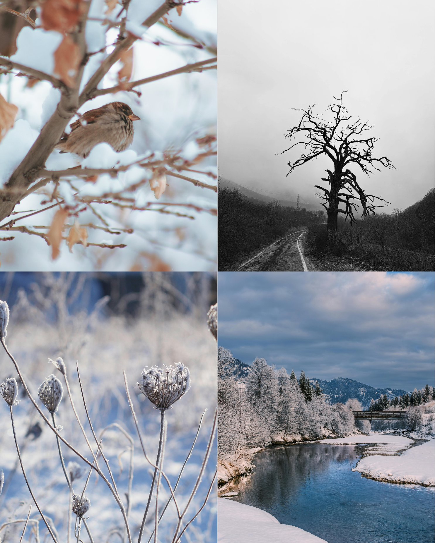 environmental wellness 