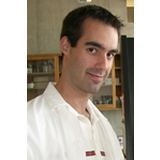 Profile photo of Dave Chitty