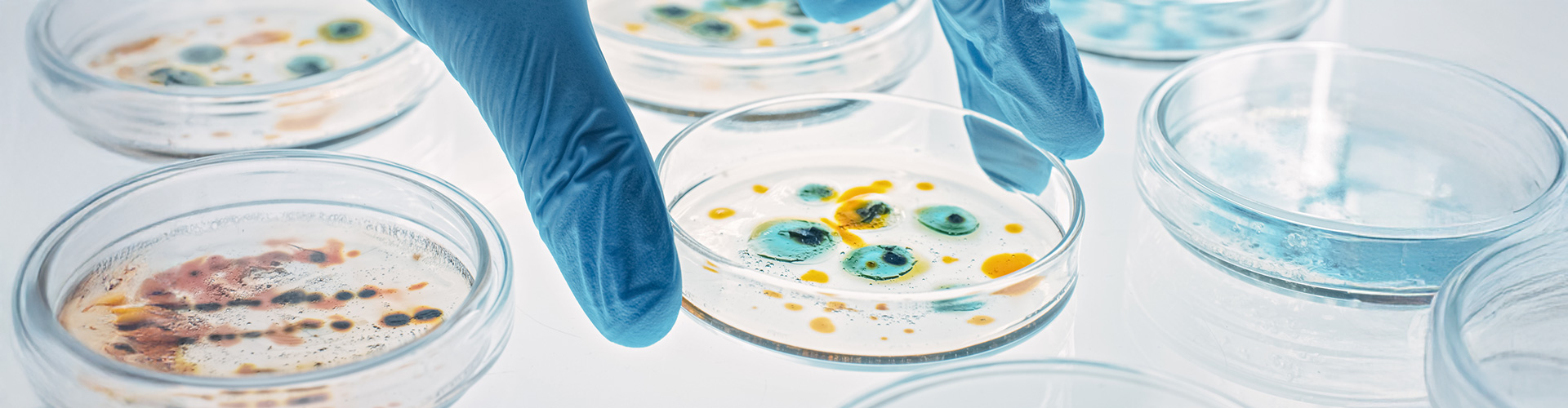 Scientist analyze biochemical samples.