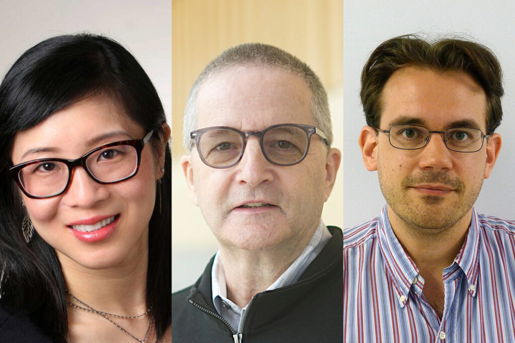 An image sliced in three, with a headshot of a Carleton researcher featured in each part.