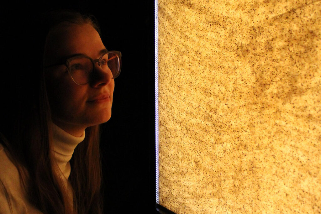 Researcher observing soil gas visualization experiment for carbon capture storage and CO2 monitoring.