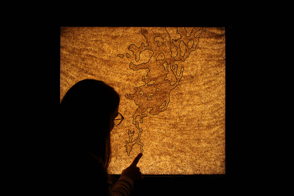 Silhouette of researcher analyzing soil visualization for underground carbon capture storage monitoring.