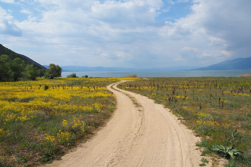 A dirt road in an open field with a body of water visible in the background.