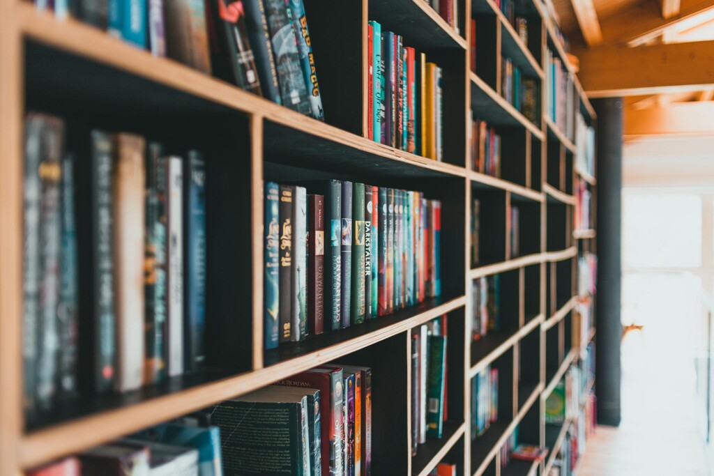 Books on a bookshelf in what appears to be a store or library.