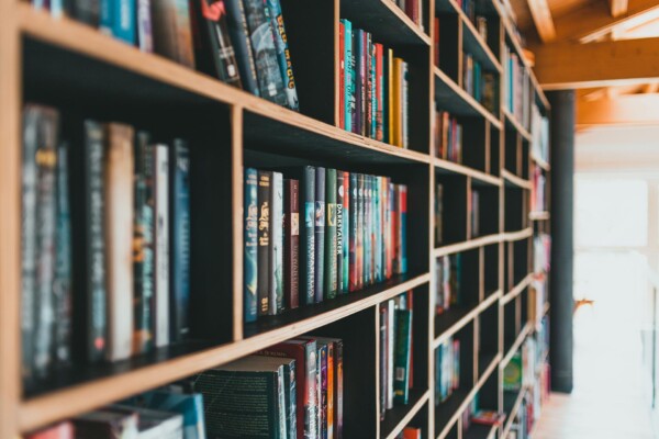 Books on a bookshelf in what appears to be a store or library.