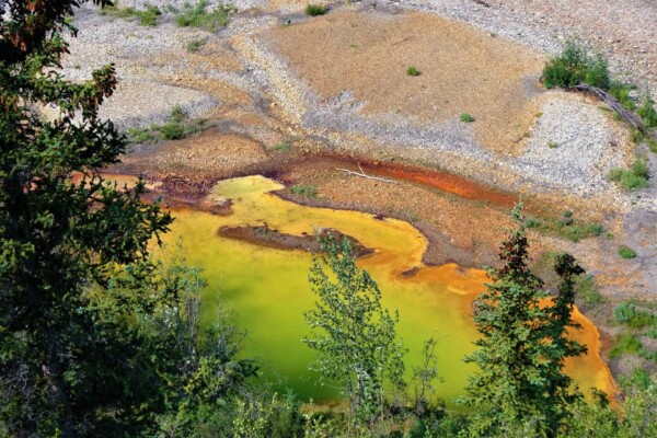 An acidifying body of water in Yukon.