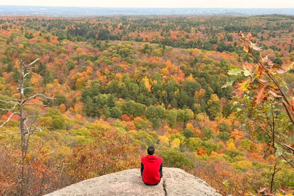 Person overlooking Gatineau Park during fall colours.