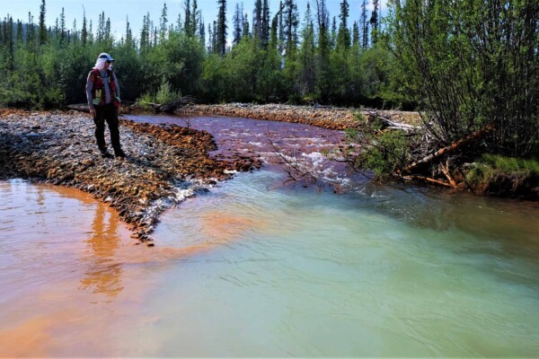Researcher examining stream affected by acid mine drainage in the Yukon.