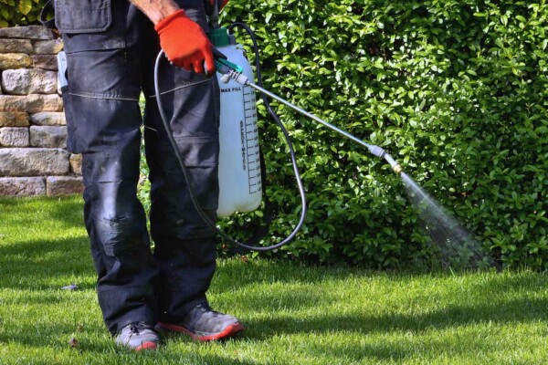 A man wearing red gloves, spraying pesticides.