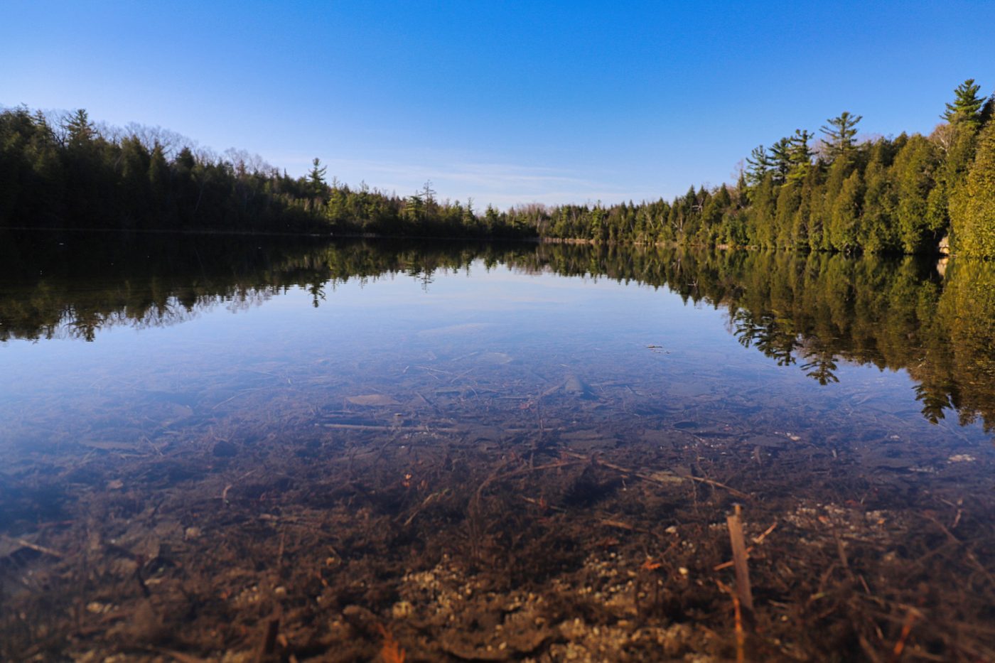 A large lake surrounded by trees