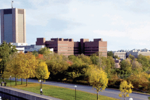 A photo of Carleton campus in the fall.
