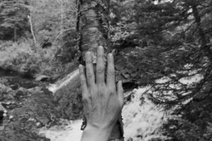 A person's hand rests on a tree trunk. A forest and stream can be seen in the background.