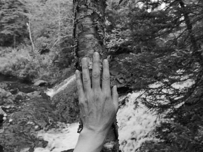 A person's hand rests on a tree trunk. A forest and stream can be seen in the background.