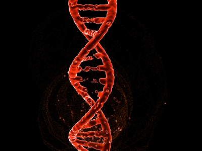 Image of a gene