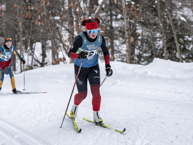 A nordic skier takes part in a race.