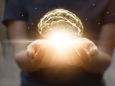 Hands hold an artistic representation of the mind.