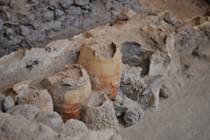 A photo of vessel artifacts at an excavation site.