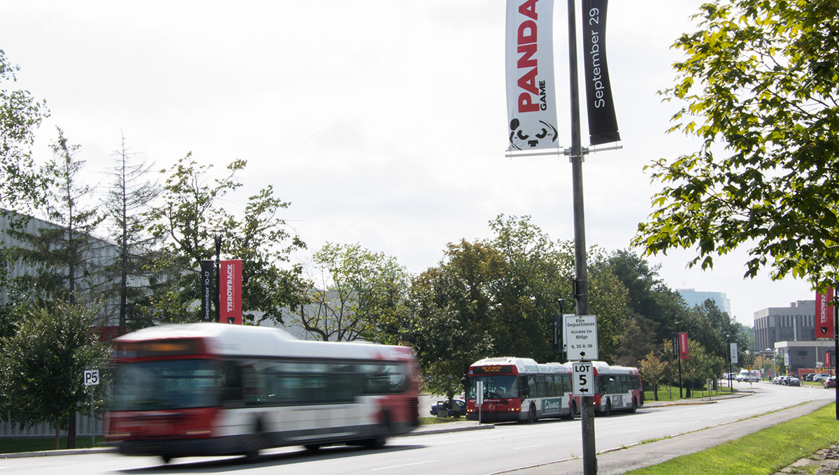Banners Highlight Throwback and Panda Game