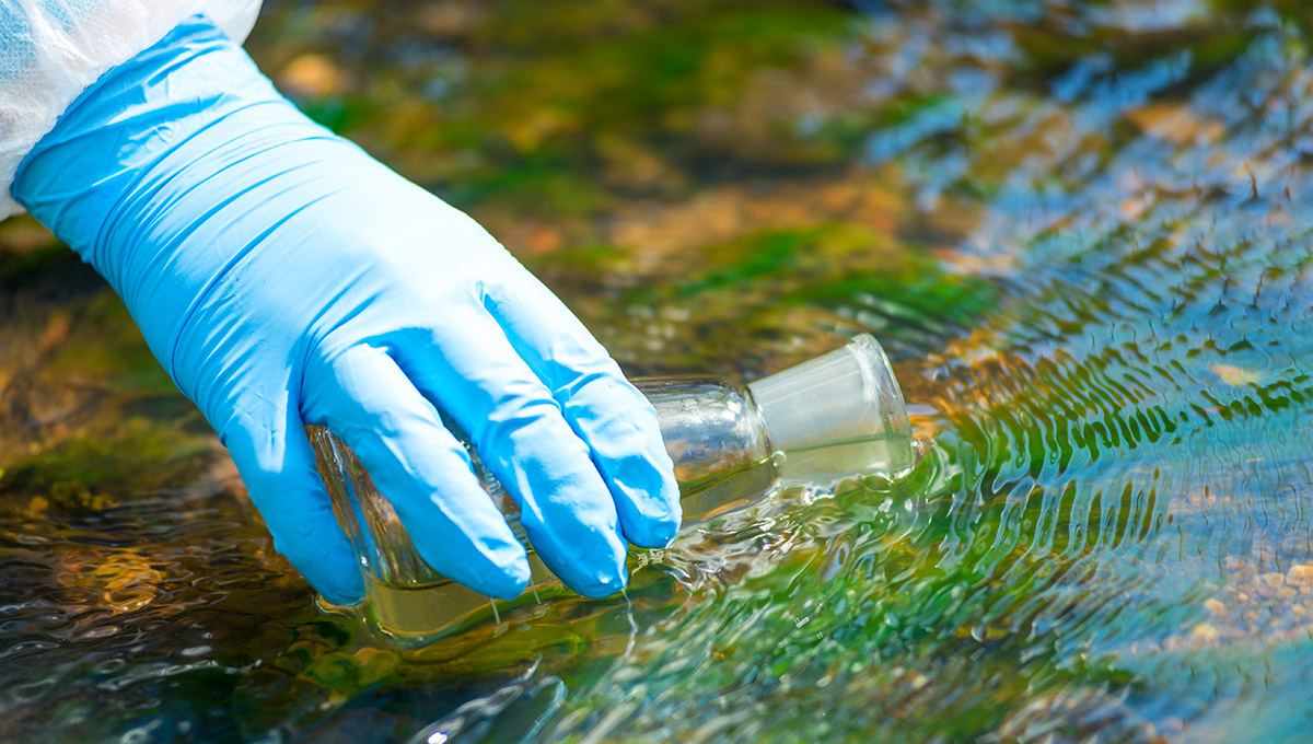 A gloved hand holding a test tube and taking a water sample from a river.