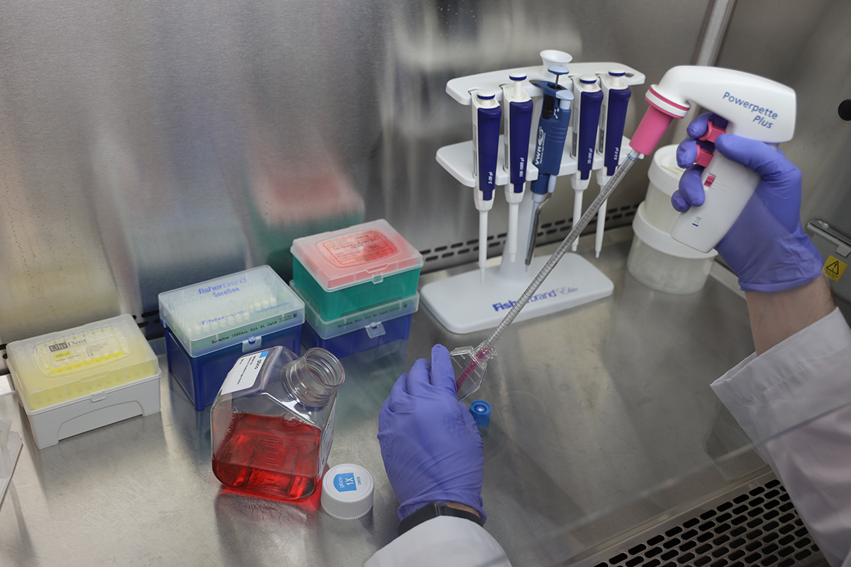 Gathered platelet samples