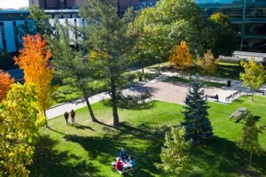 The campus quad in Fall.
