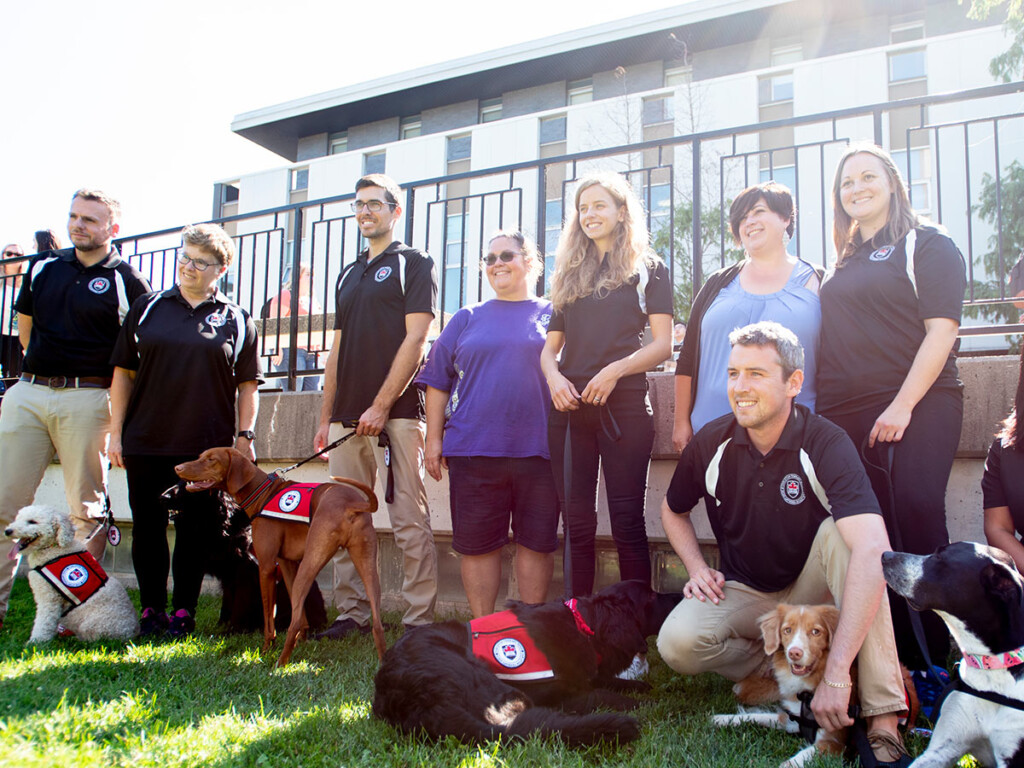 Carleton Expands Therapy Dog Program