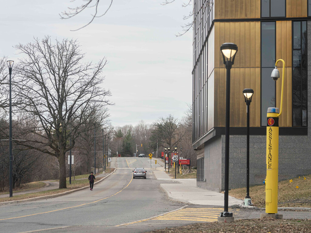 Carleton relying on range of online platforms to work remotely