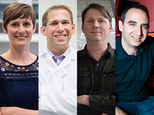 A composite image of 4 different Carleton University researchers