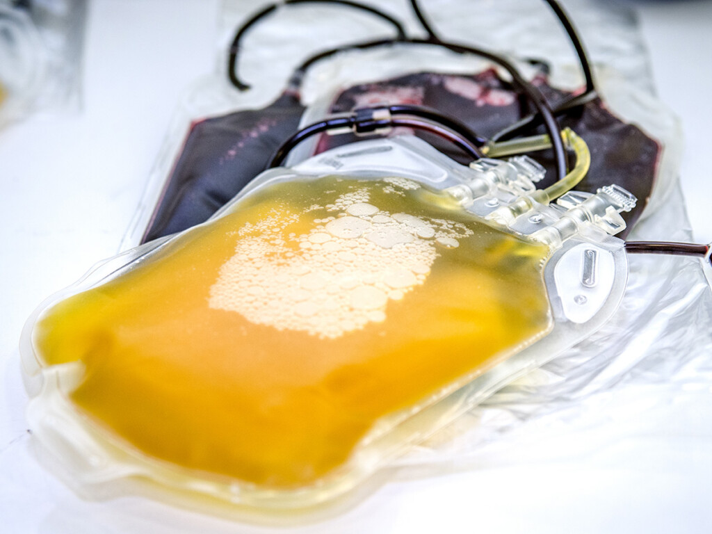 A plasma donation gets underway (Shutterstock)