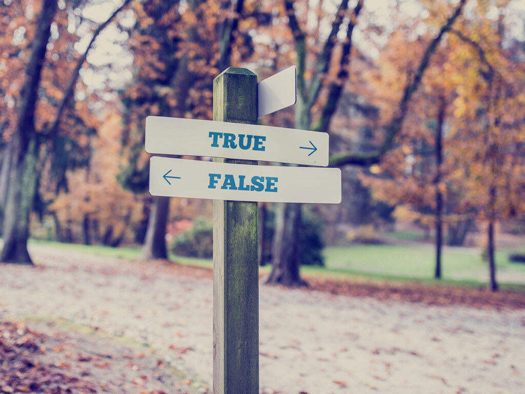 Fake News - Two signs on a post that read True and False (Shutterstock)