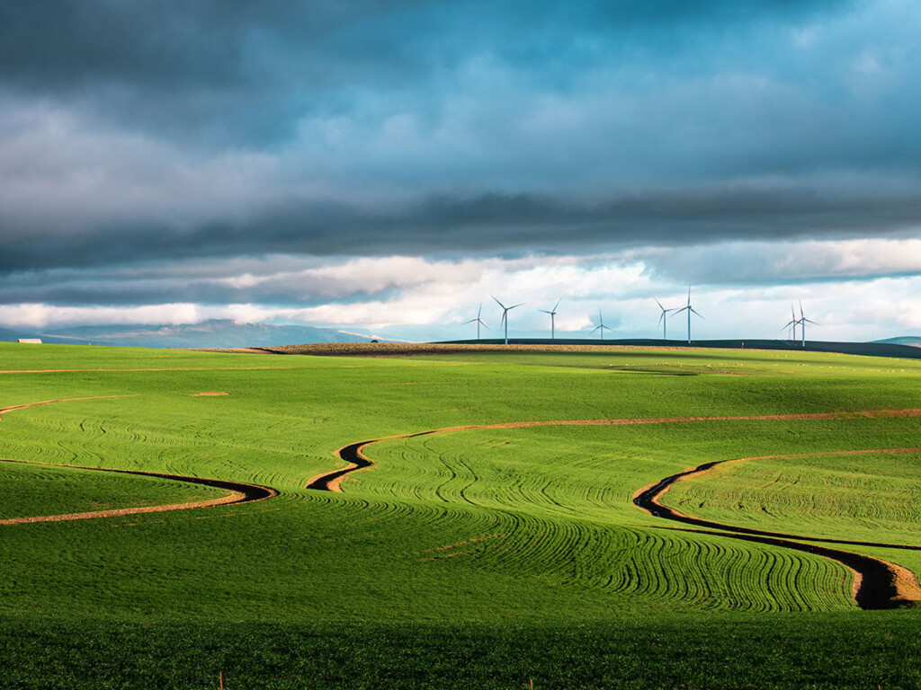 A large green field with a row of wind turbines (Charl Folscher/Unsplash)