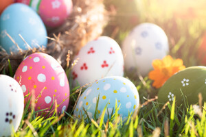 Sara Katharine Garden