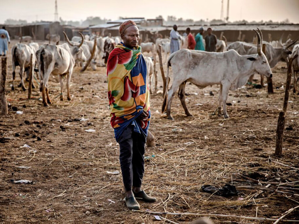 Farmer-herder (Photo: Luis Tato via Getty Images)