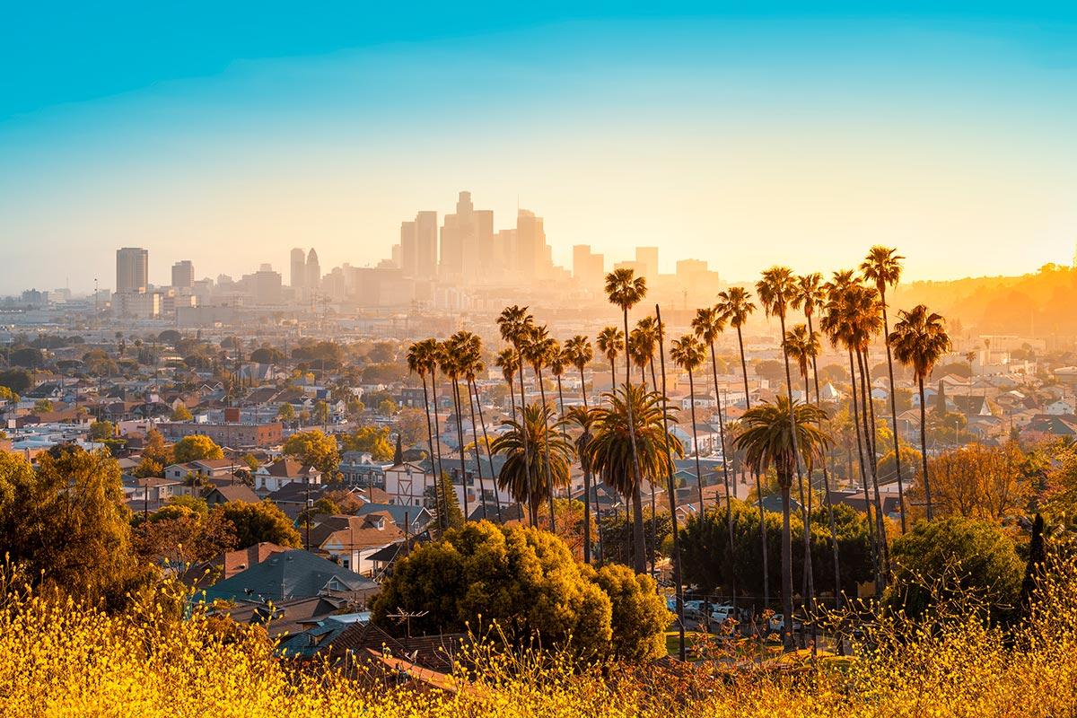 A view of Los Angeles from the hills.
