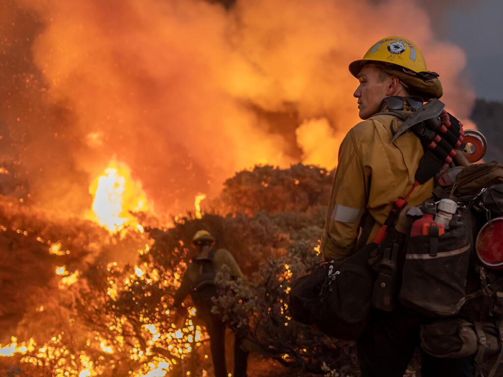 A couple of fireman fighting a forest fire