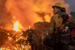 A couple of fireman fighting a forest fire
