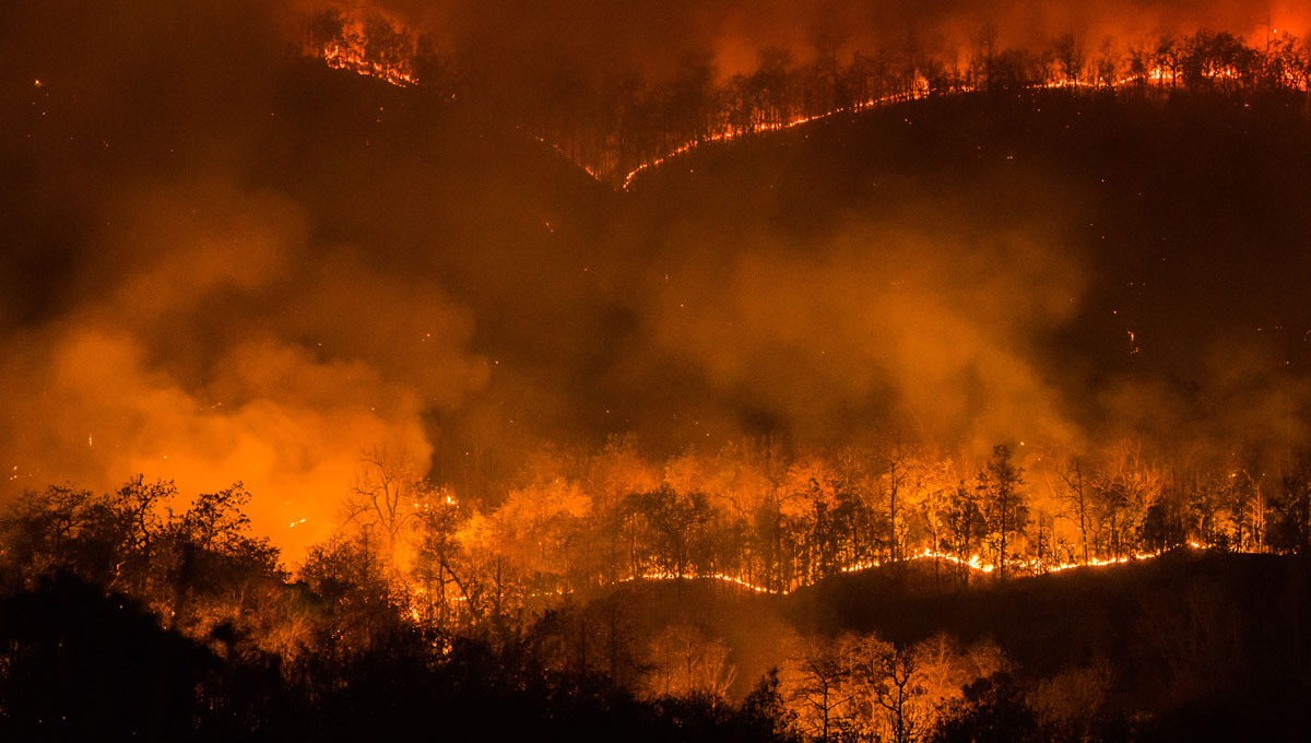 Carleton researchers are analyzing the thousands of variables that influence the direction and intensity of forest fires to prevent them from occurring.